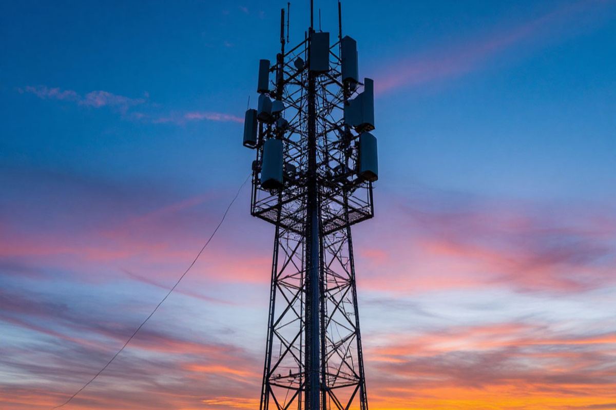    Фото: коллаж RuNews24.ru