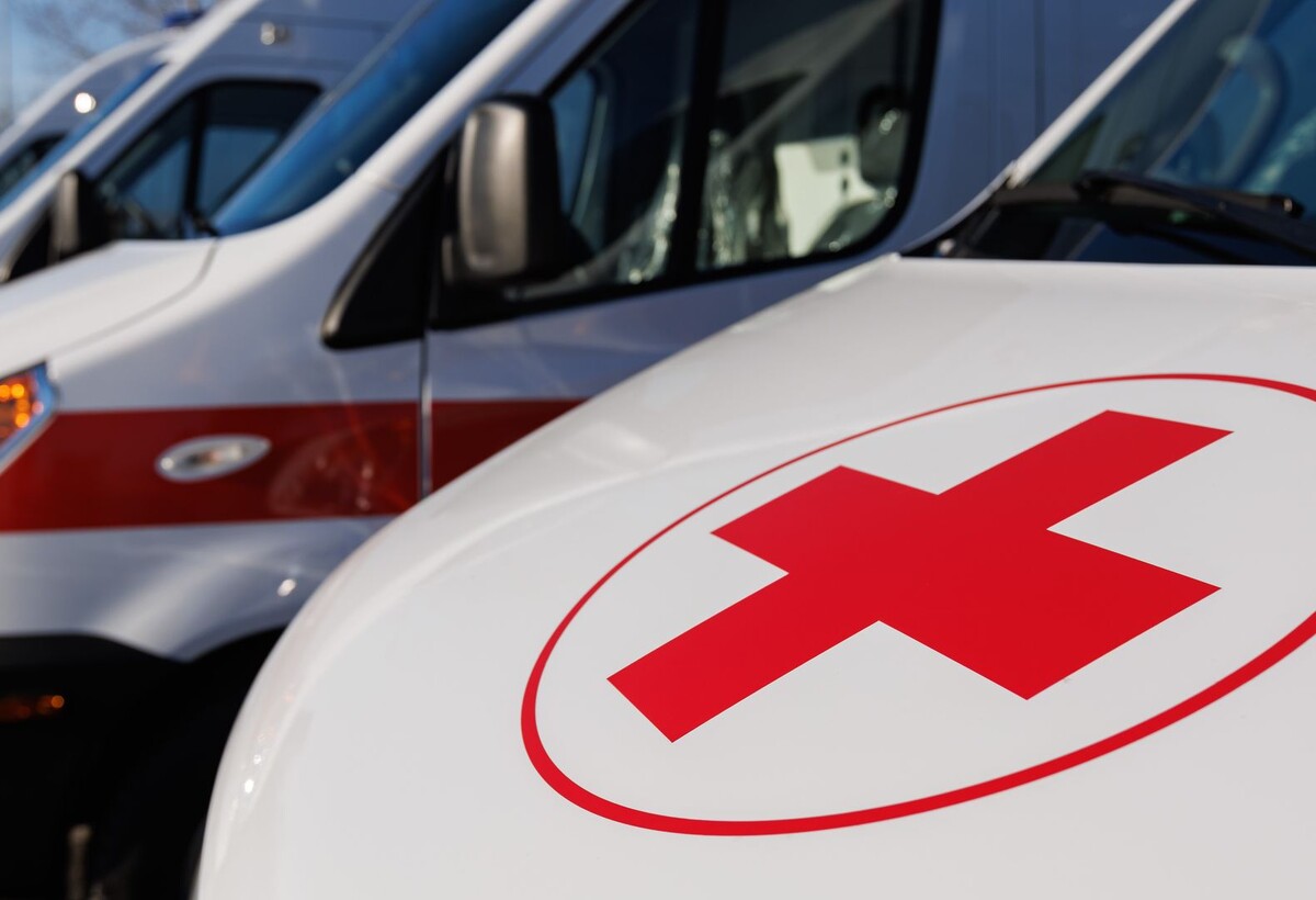     / Источник: © Global Look Press