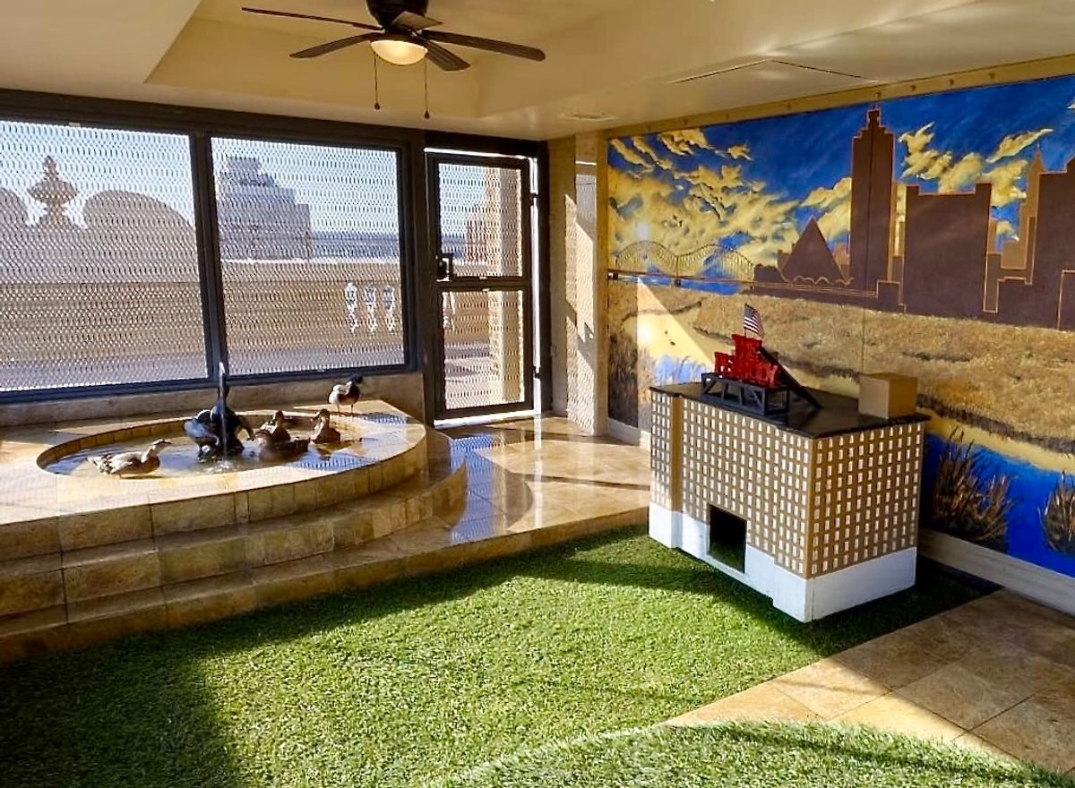 Пять крякв Пибоди живут во дворце на крыше, где есть миниатюрный скворечник в форме четырёхзвёздочного отеля.