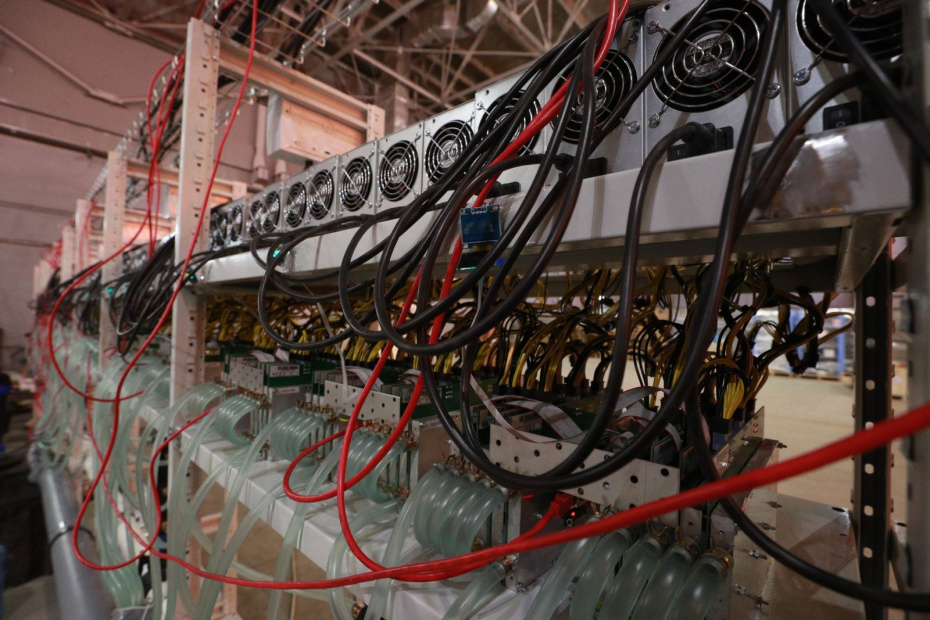    Сергей Булкин/NEWS.ru