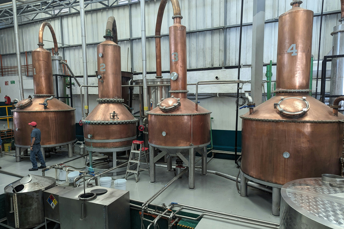    Изображение носит иллюстративный характер. Фото: scottywatty / Unsplash.com