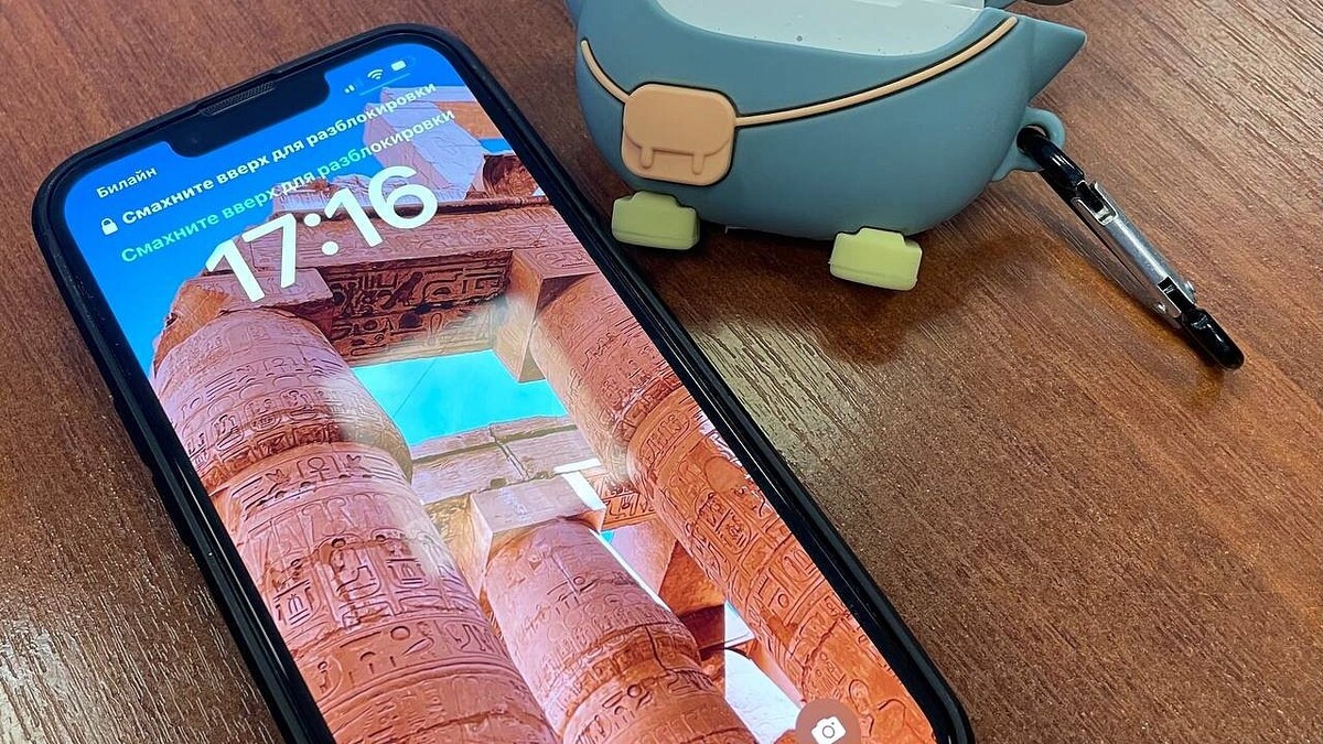    Фото: телеканал «Краснодар»