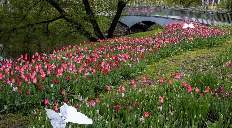 Фото: Павел Колядин (архив)