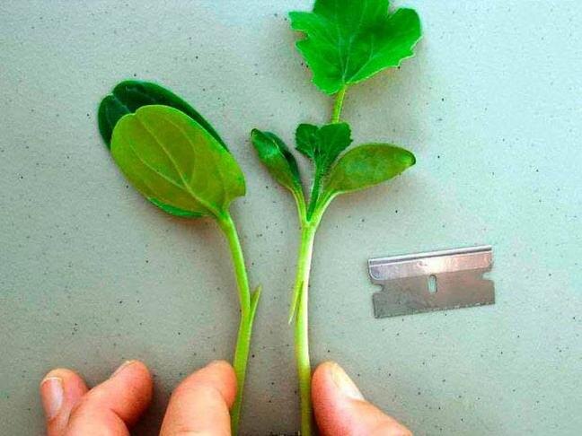 Фото: из личного архива Никиты Станкевича