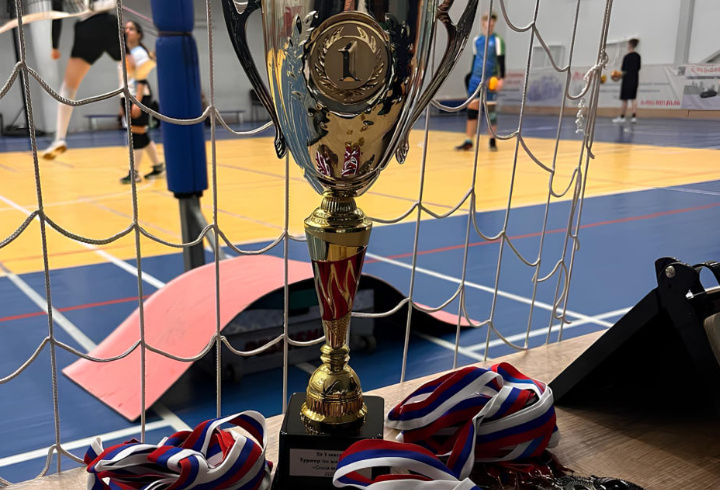 фото: t.me/kingisepp_lo