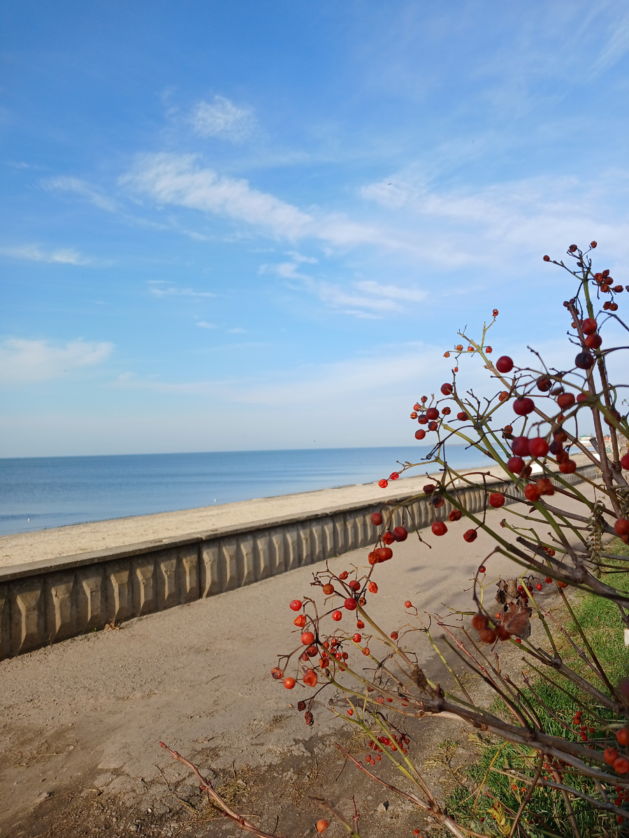Побережье Азовского моря в ноябре.