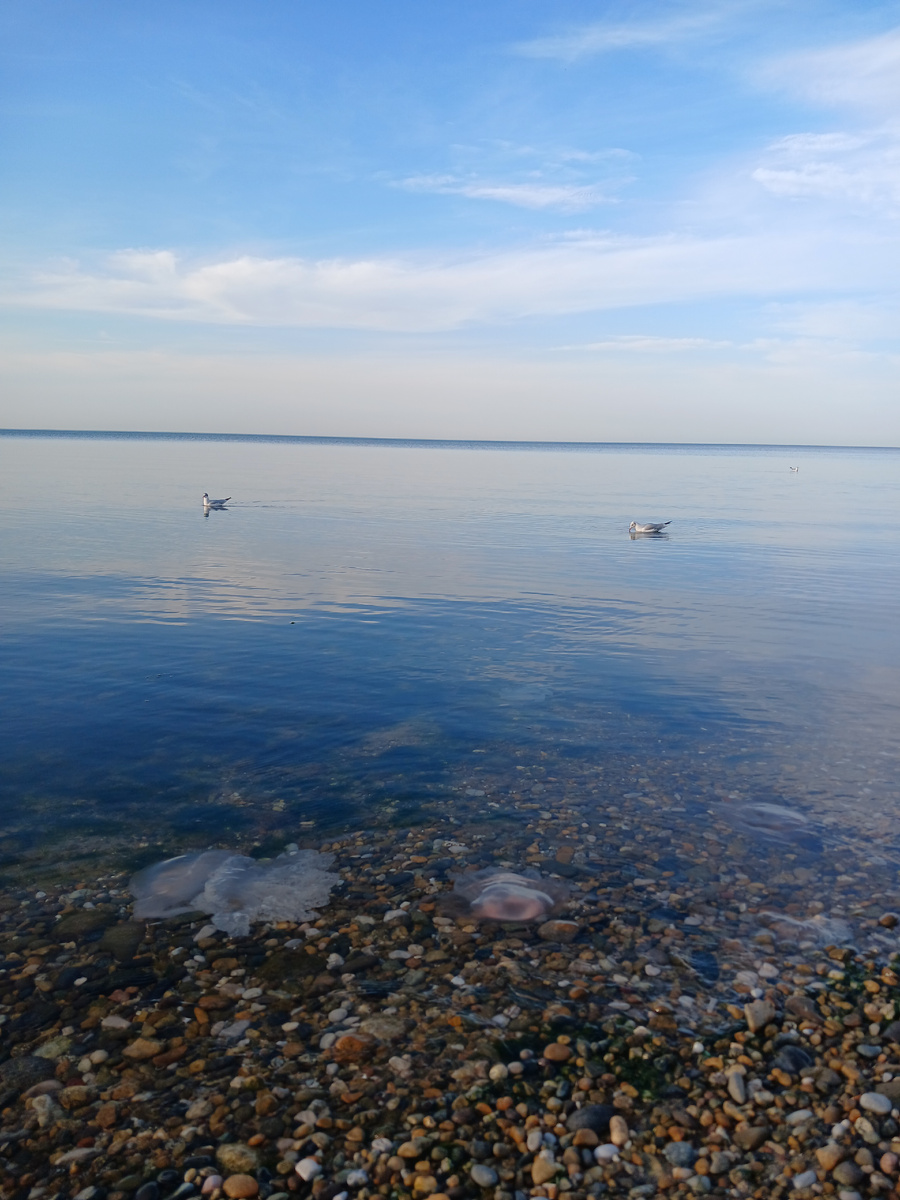 На дне моря