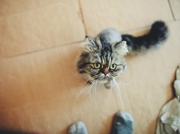 И в туалет без меня не пойдешь