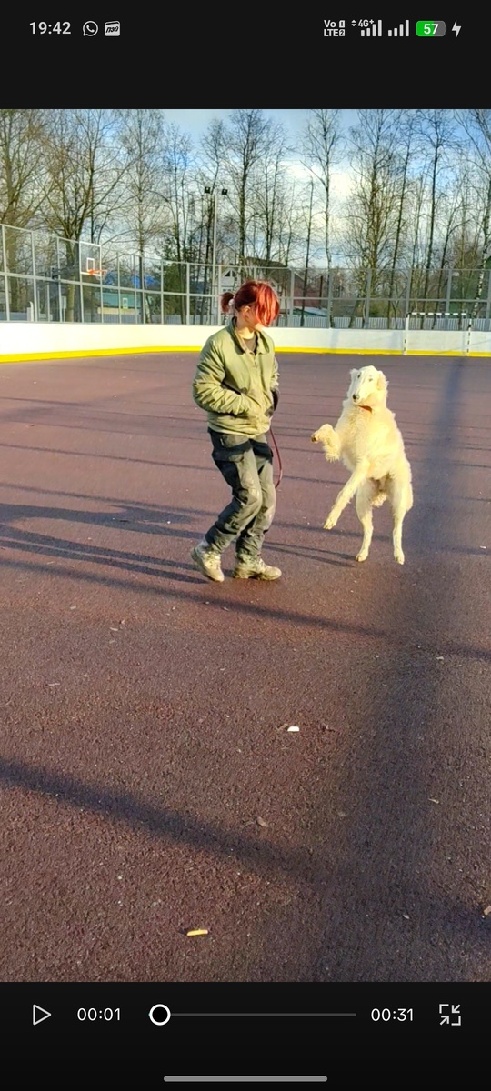 И снова много солнца (