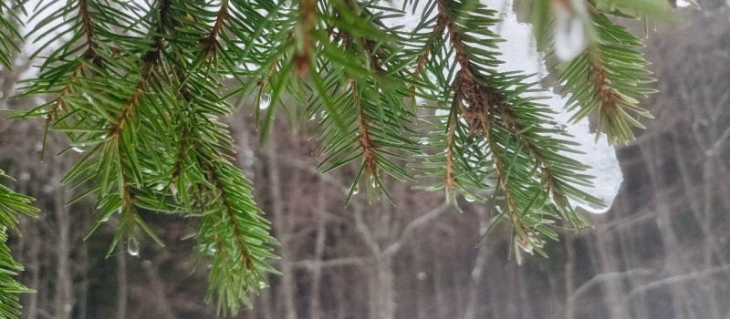    "Фактор Новости"