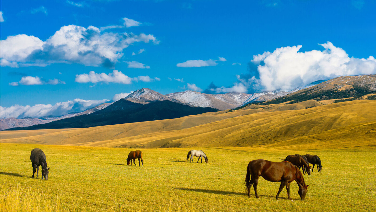 Земля, по которой мы идём, хранит больше, чем просто пейзаж.