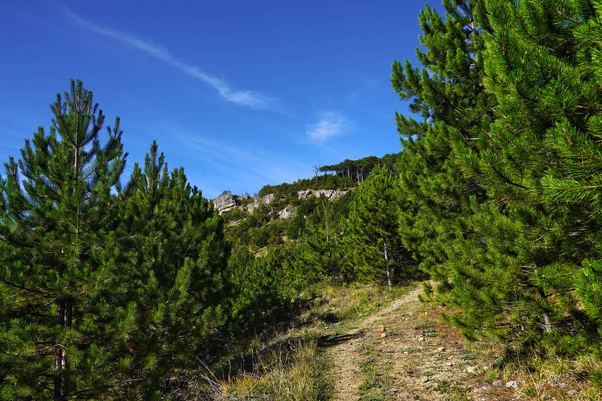 Природа — первая страница любой истории.