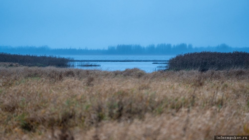 Фото: Антон Кораблёв / Полистовский заповедник