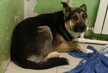 Мне очень страшно!