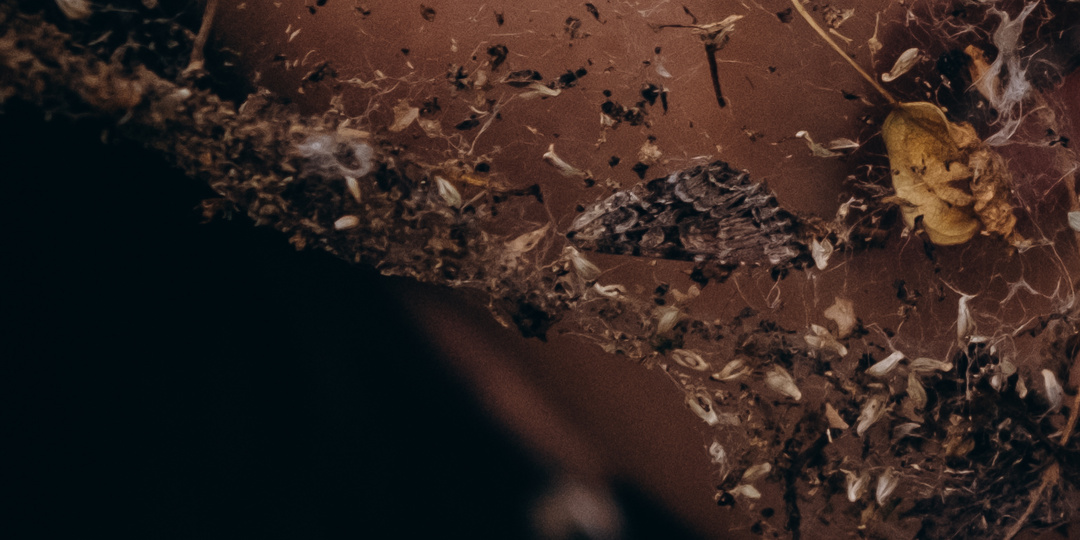 "Я буду с тобой". Пробуждение мамы. Часть 2.