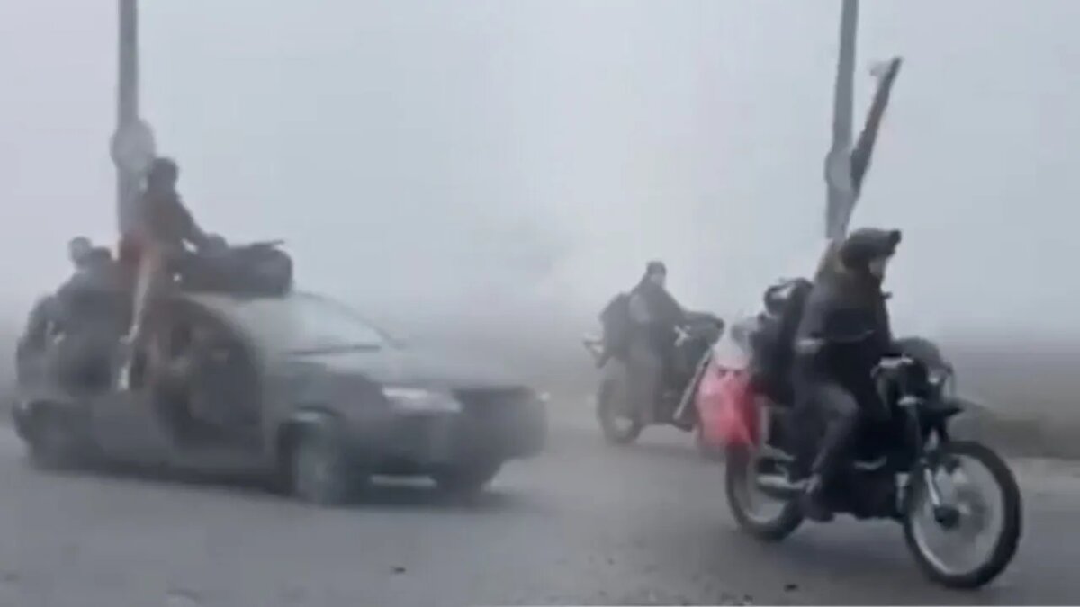 Скрин видео