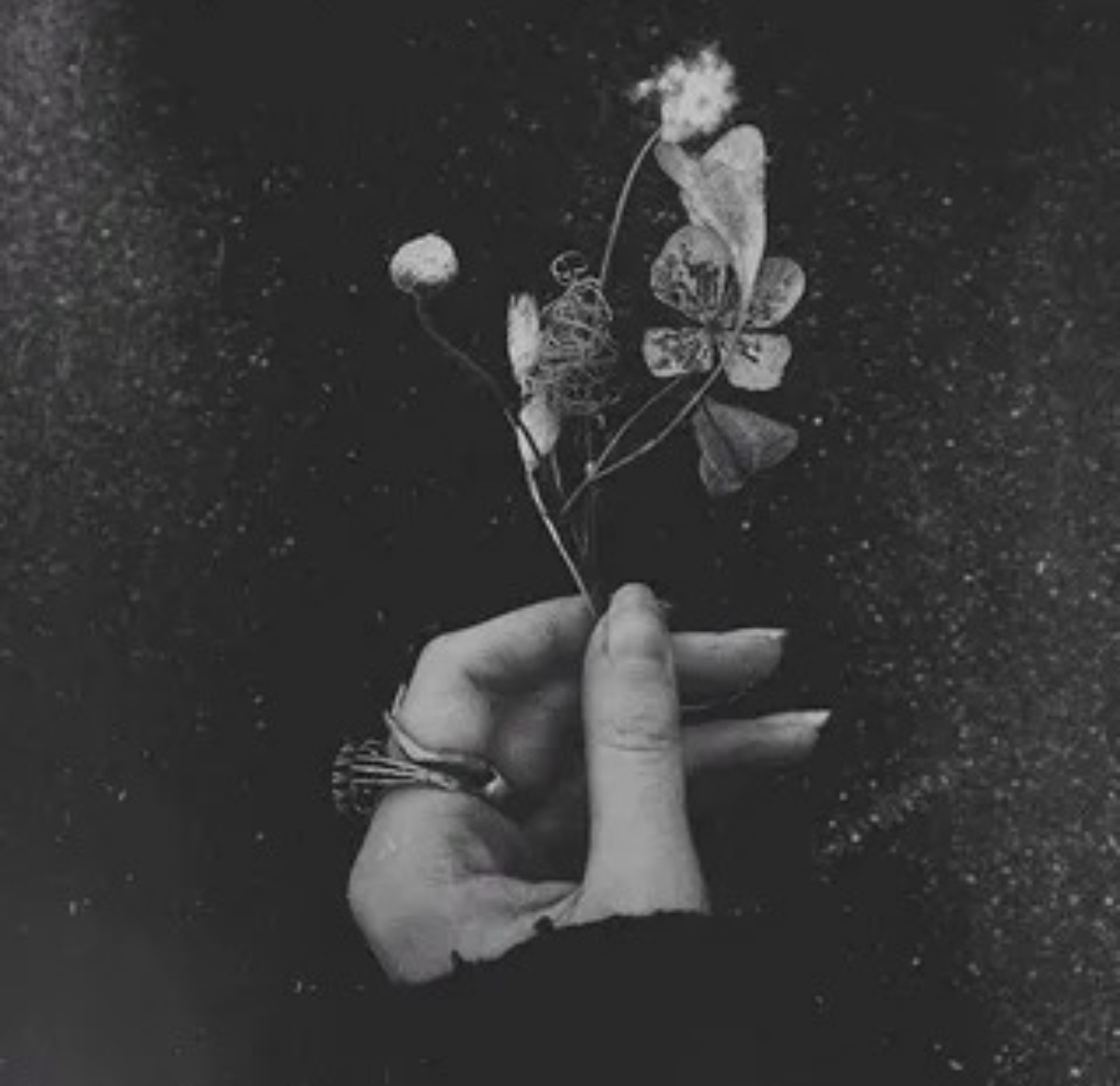 Фото из Интернета 