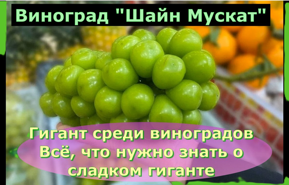 Еда, Спорт, Мифы