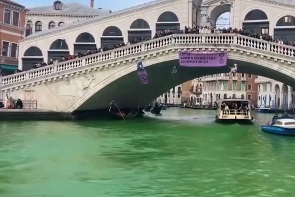    Фото: кадр видео