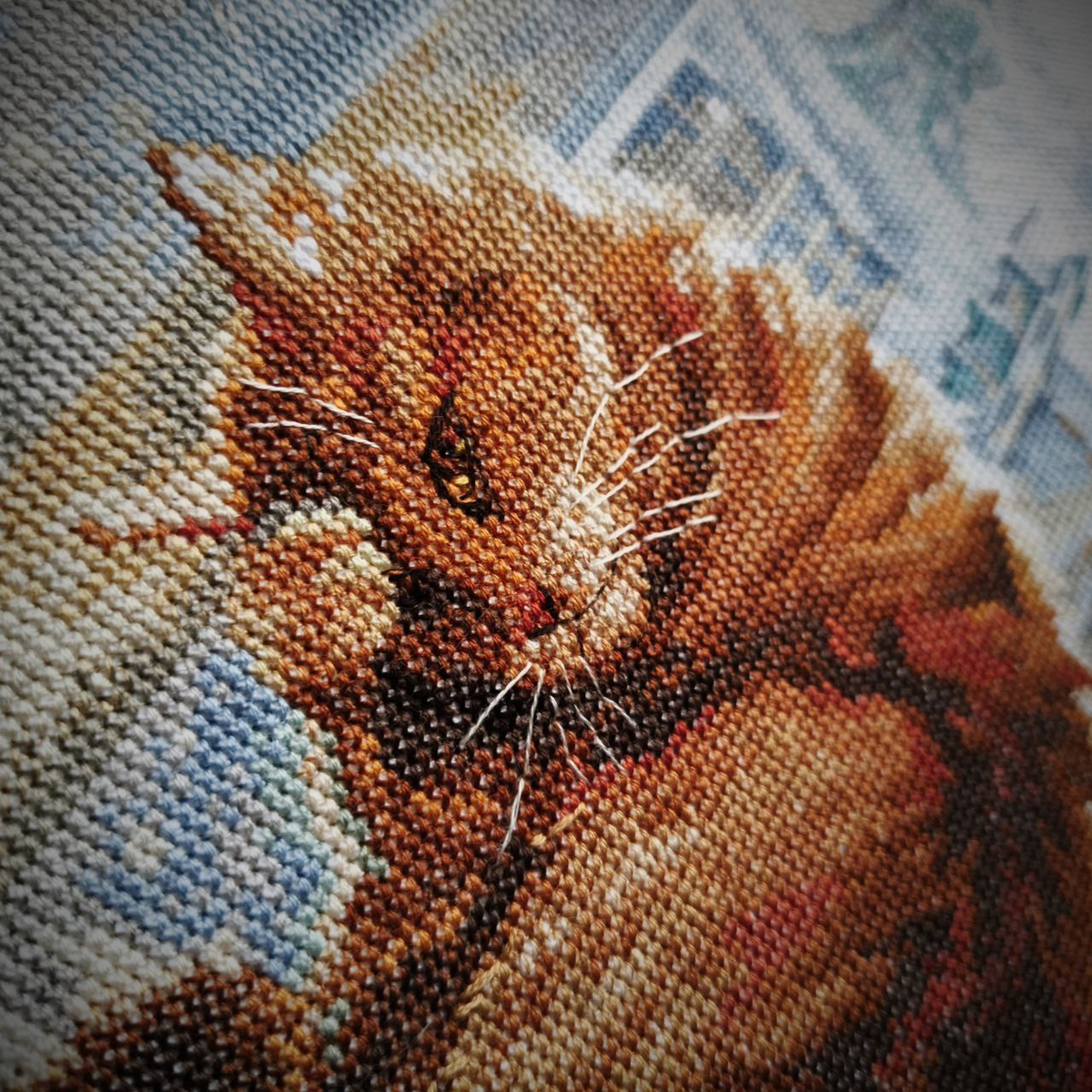 Рыжий кот, который "намывает гостей".