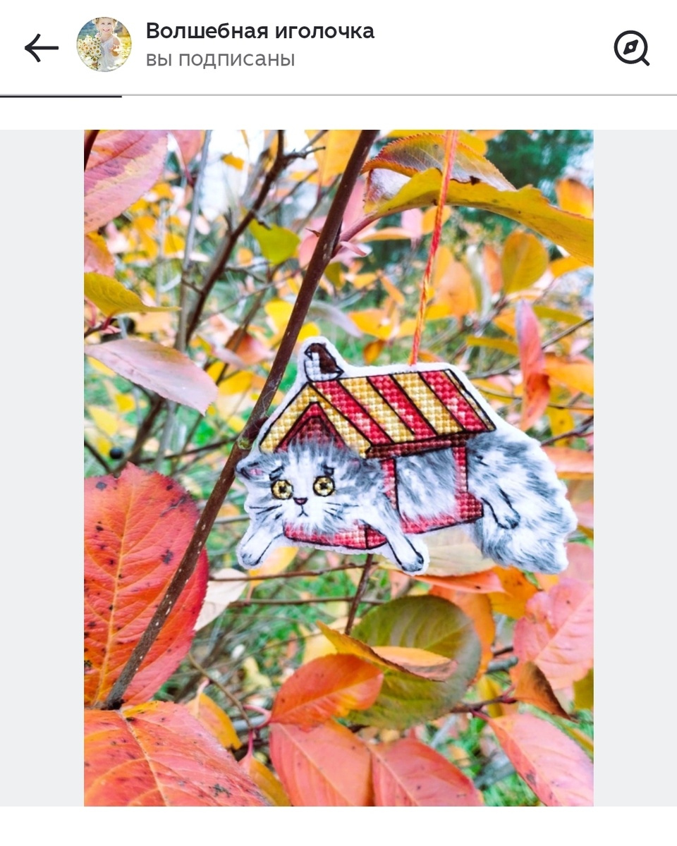 Очень красивая фотография и сама работа! 