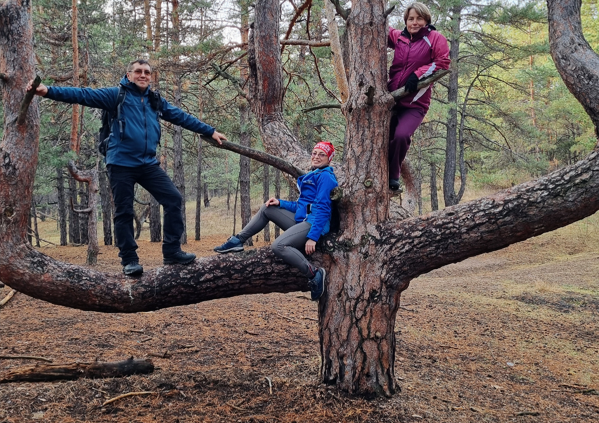 Наталья в розовом справа от ствола сосны. В центре – я. Слева – наш общий знакомый. 