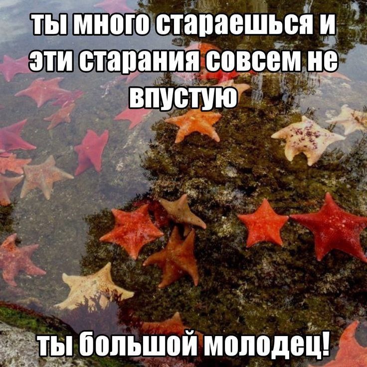 Картинка из интернета для настроения 