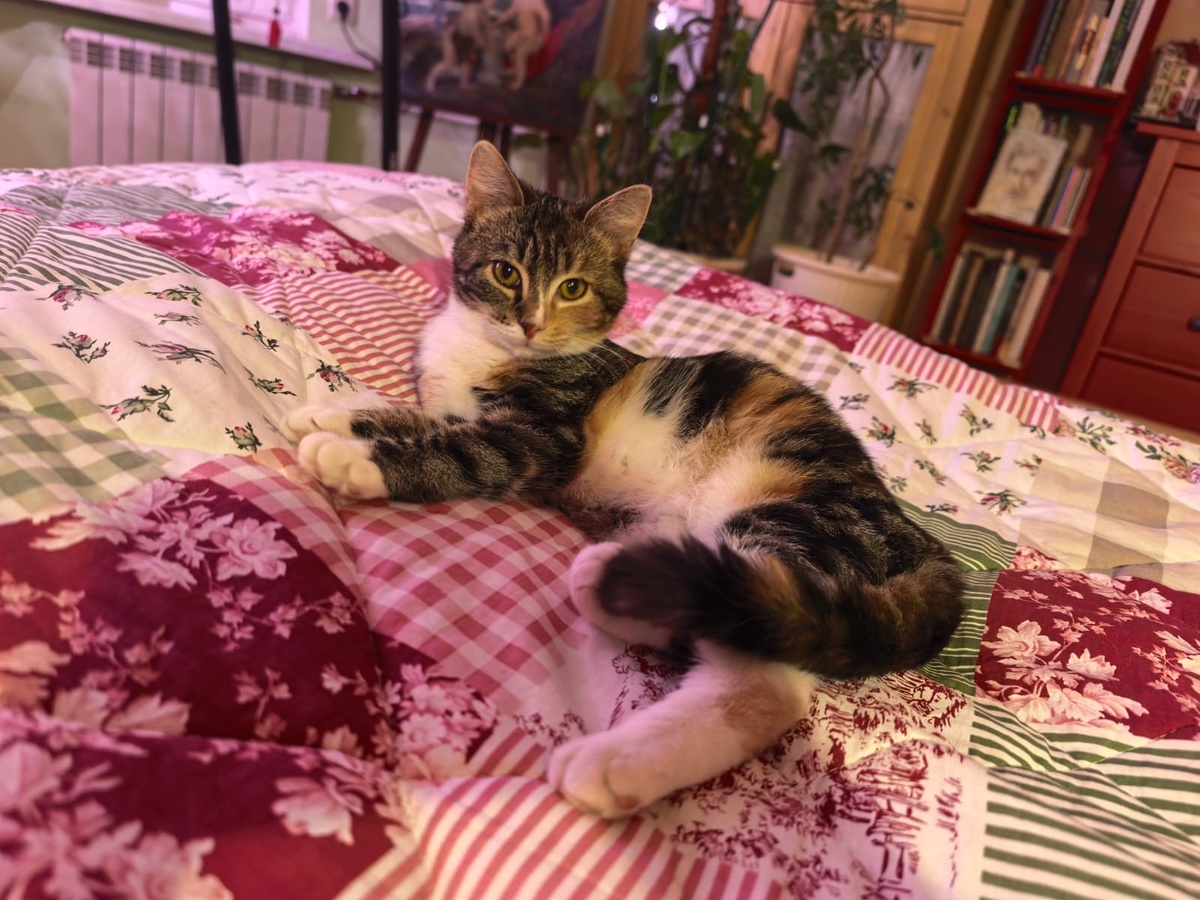 В новом доме 