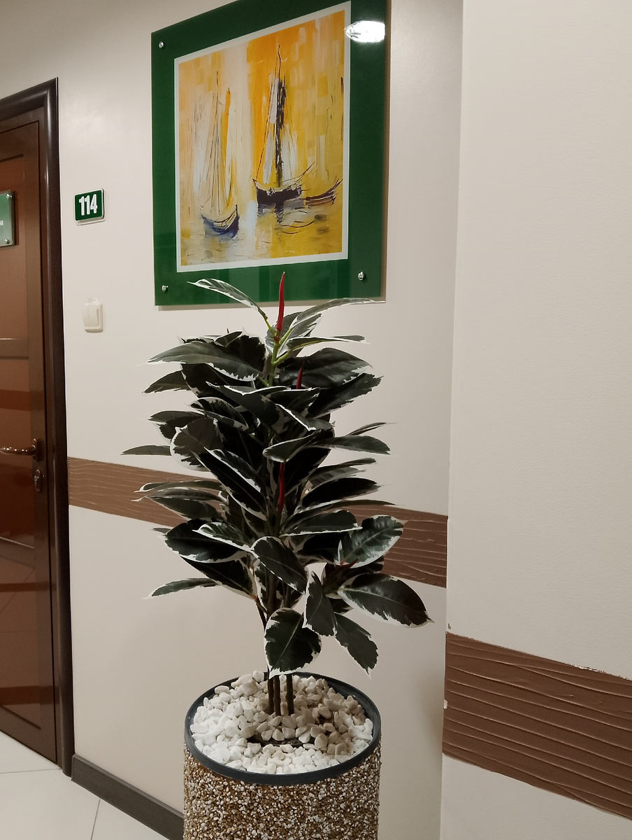 В медцентре, фото автора 