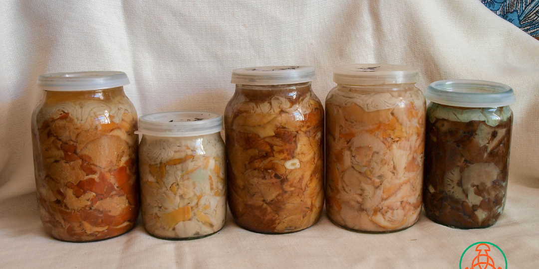 Как отправить солёные грибы в посылке?