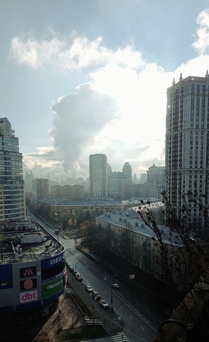 Белое холодное солнце