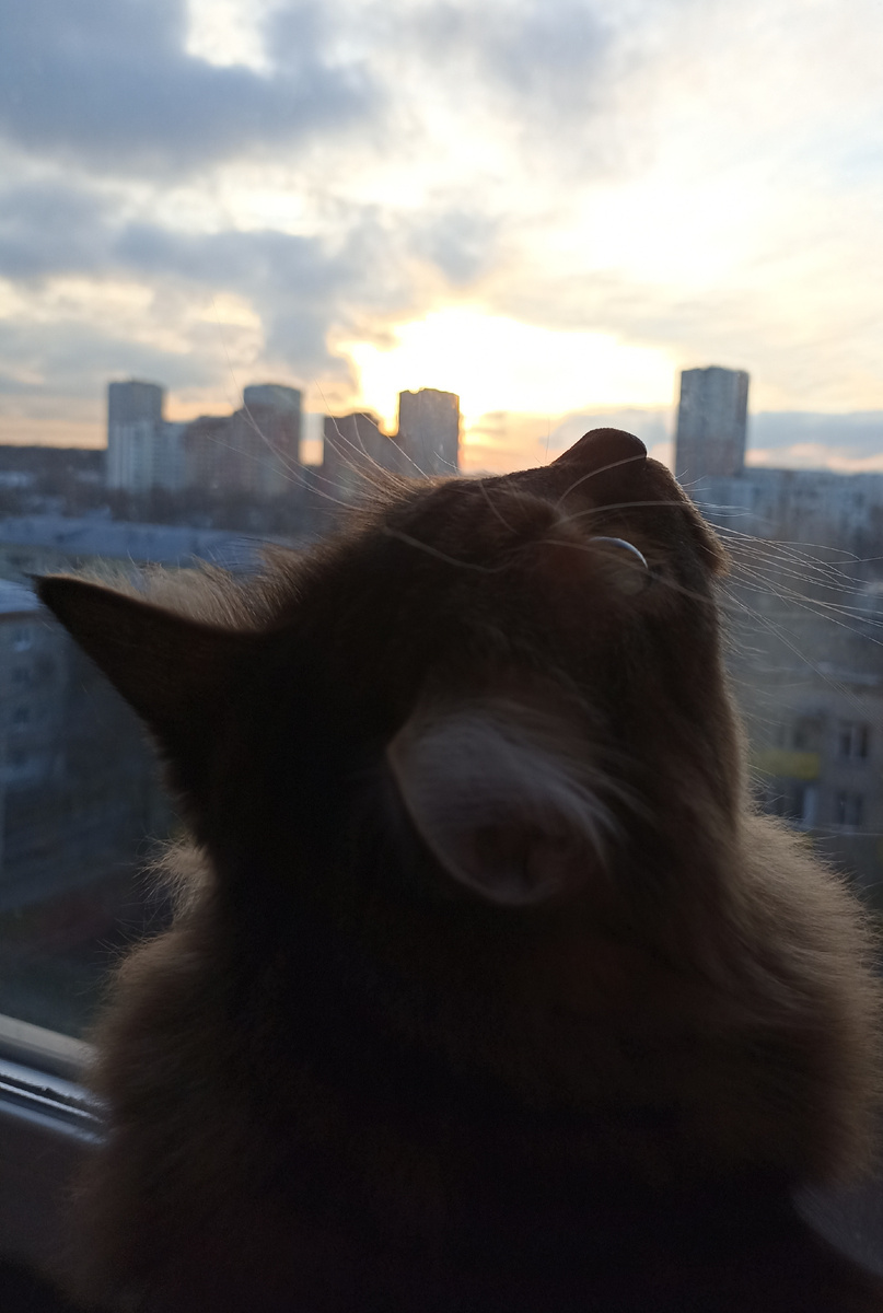 А вчера у неё было вот такое романтично - созерцательное настроение 