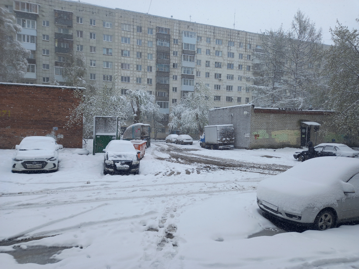 Фото автора