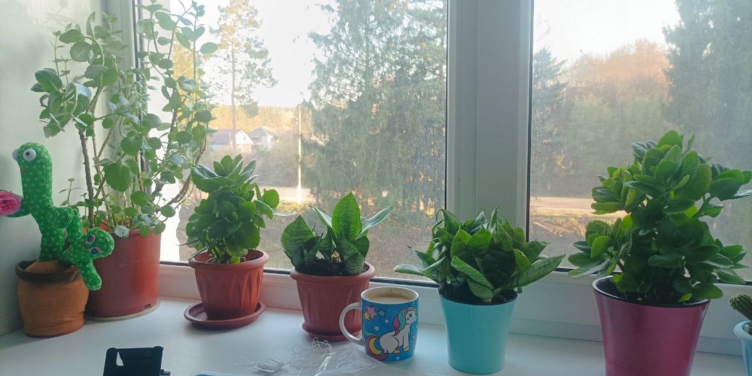 Что делать когда хочется вышивать, а возможности нет?