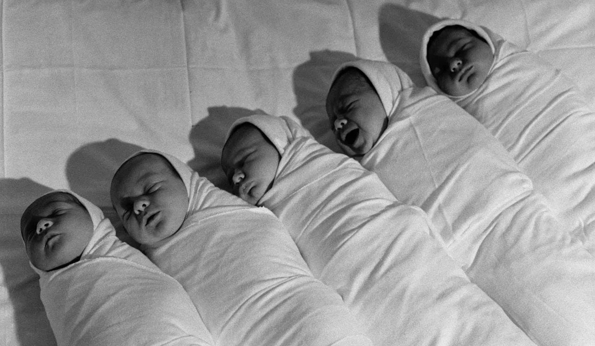 Фотохроника ТАСС