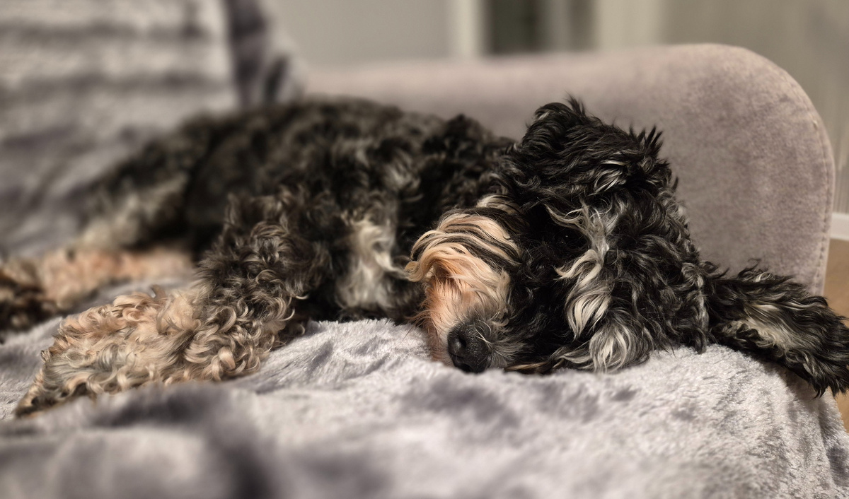 На любимом диване:)