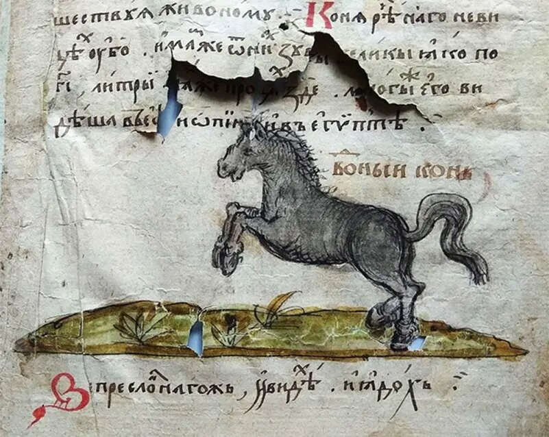   Христианская топография. XVI век. Изображение с сайта cameralabs.org