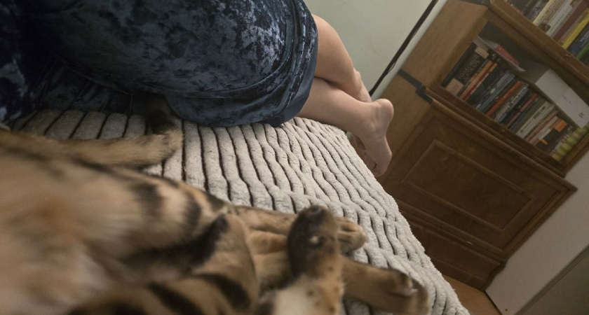    Кошки тянутся только к этим 3 типам людей - других даже не уважают. Проверьте есть ли вы в списке