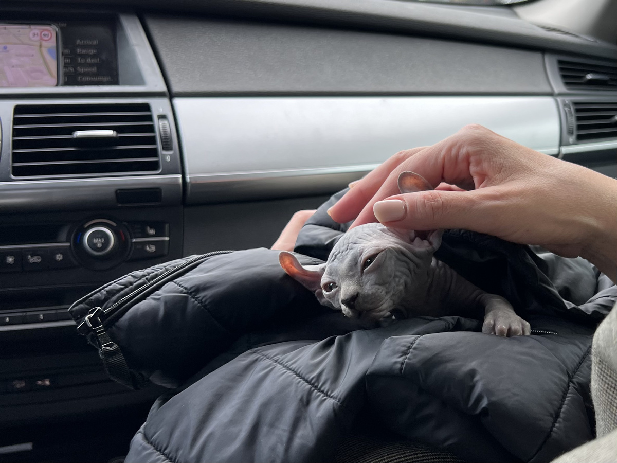 Жизнь Эль у нас началась с поездки, и теперь она постоянно путешествует