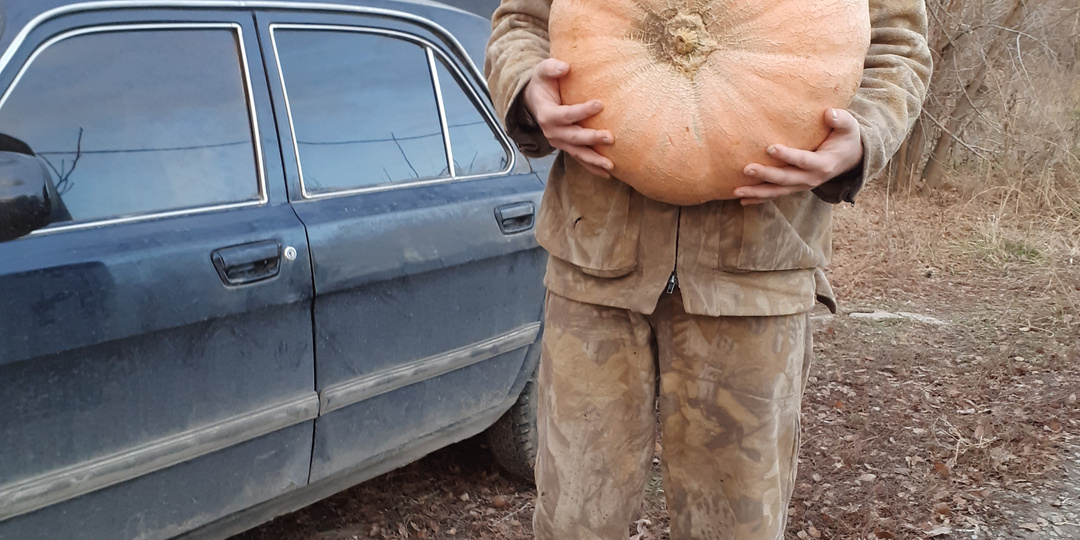 Повредит ли затяжная осень саду?