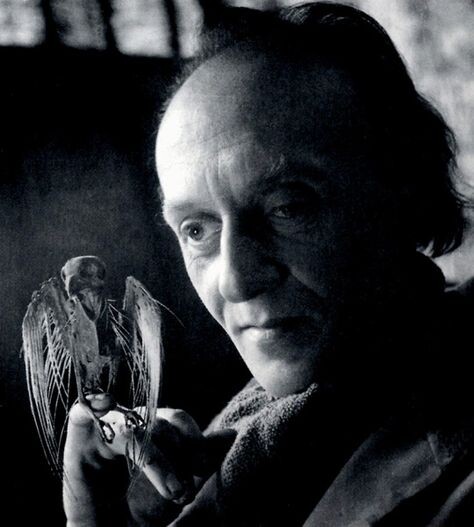 Виктор Браунер