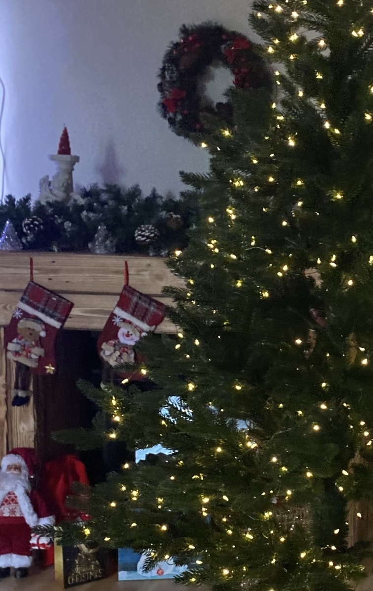 Гирлянда Роса