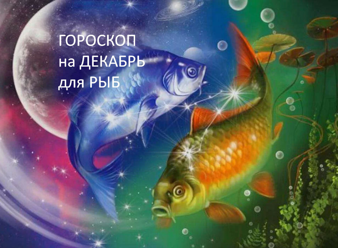 ГОРОСКОП на декабрь 2025 года. фото из открытого источника