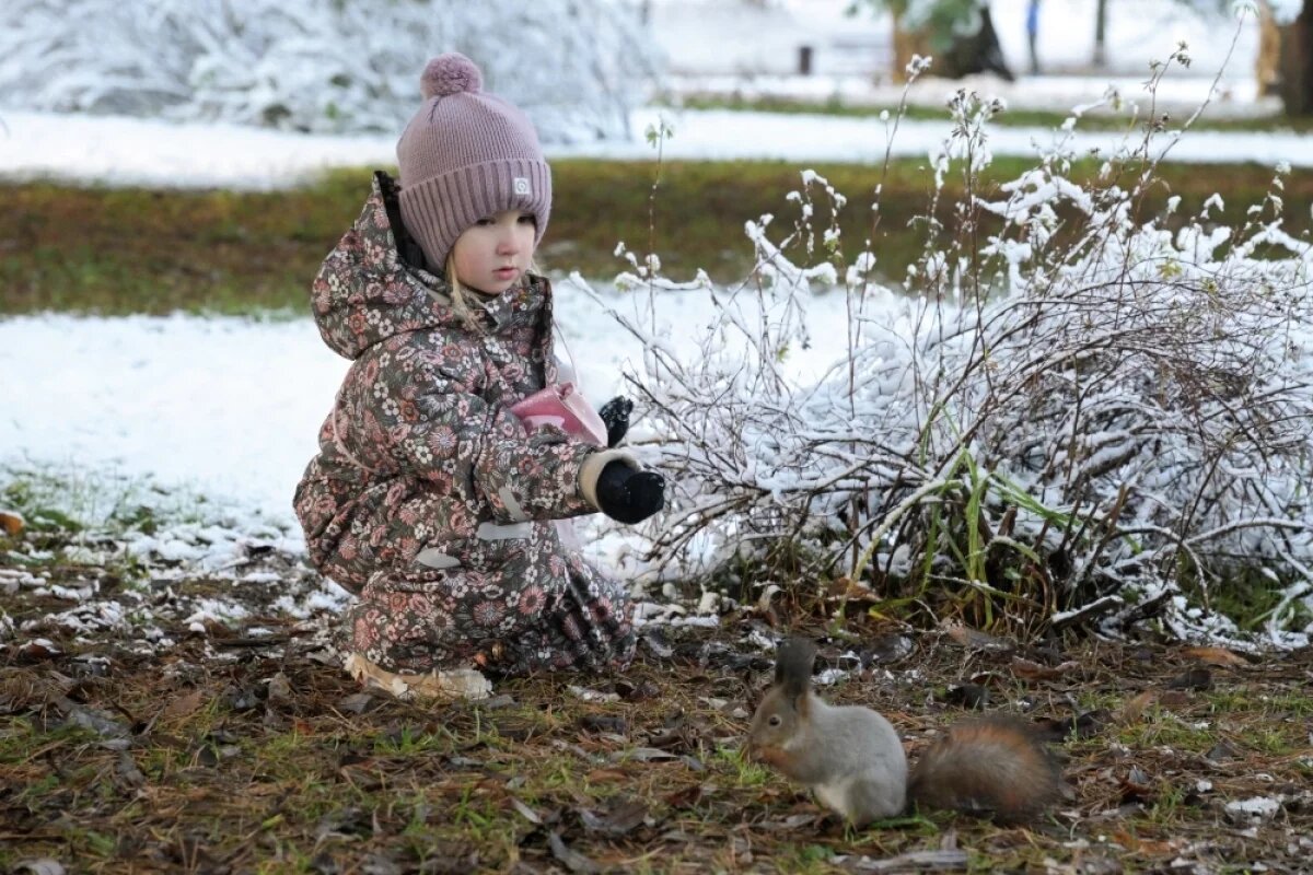    Первая пятидневка календарной зимы продолжит марафон прыжков через «барическую скакалку».