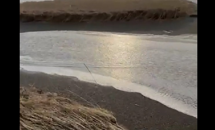 Скриншот видео со страницы ВК Лебедева