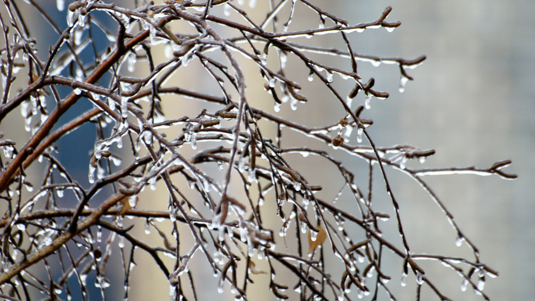    Фото: Alexander Legky, Alexander Legky/Globallookpress