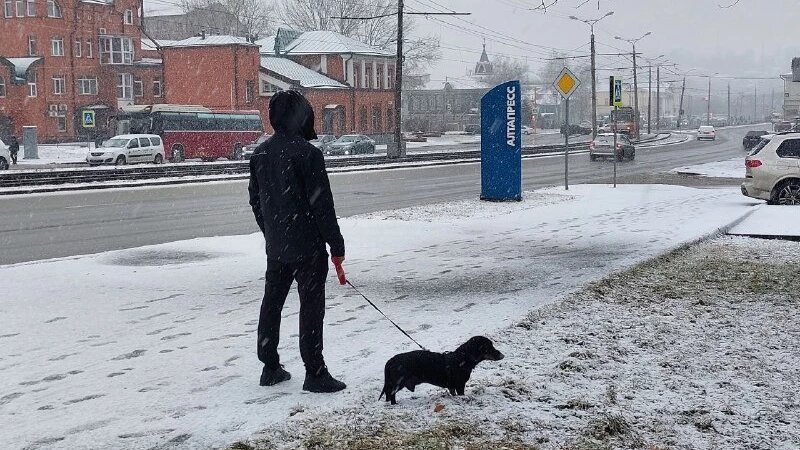     Снегопад в Барнауле Анна Зайкова