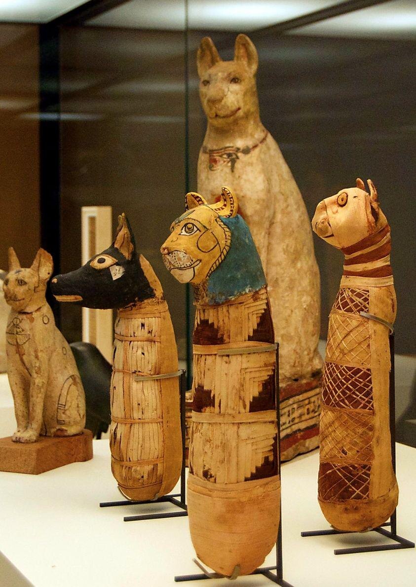 Искусное пеленание этой кошки говорит о высокой стоимости заказа. Лувр, Париж.