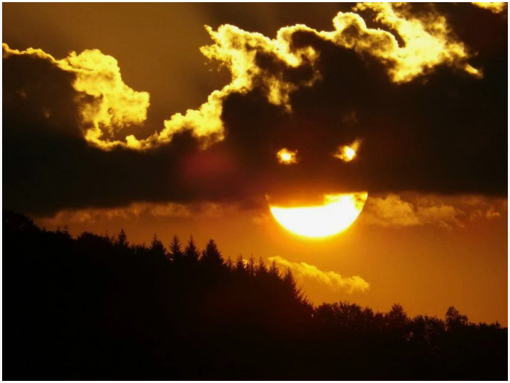 Яндекс.Картинки