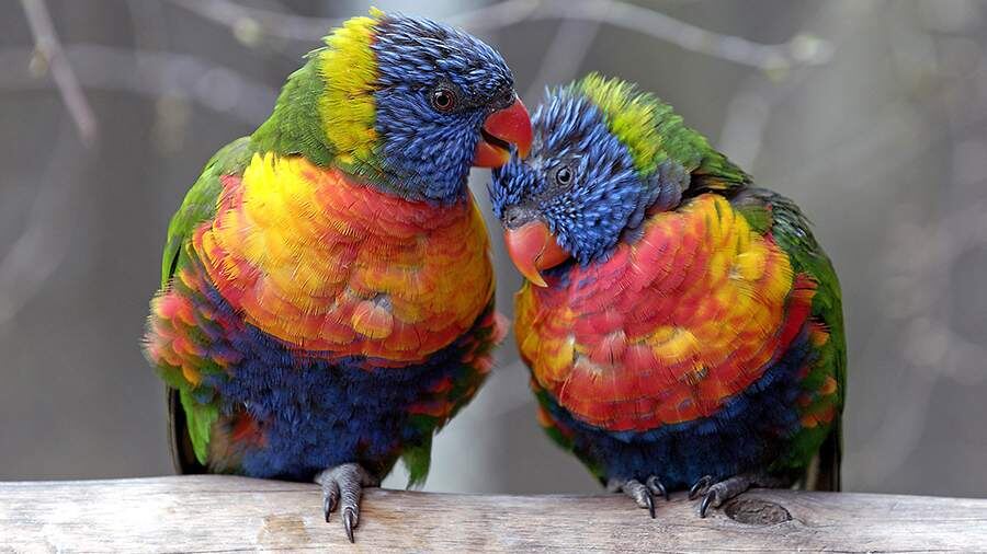    Фото: Global Look Press/Ingo Schulz